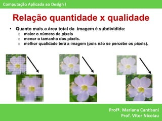 Relação quantidade x qualidade
•   Quanto mais a área total da imagem é subdividida:
     o maior o número de pixels
     o menor o tamanho dos pixels.
     o melhor qualidade terá a imagem (pois não se percebe os pixels).
 