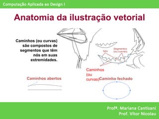 Anatomia da ilustração vetorial

Caminhos (ou curvas)
   são compostos de
  segmentos que têm
        nós em suas
       extremidades.

                        Caminhos
                        (ou
     Caminhos abertos   curvas)Caminho fechado
 