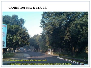 LANDSCAPING DETAILS
• Having enough space b/w the tree trunk
• Huge foliage of tree cover the large ground area in terms of shadow
 