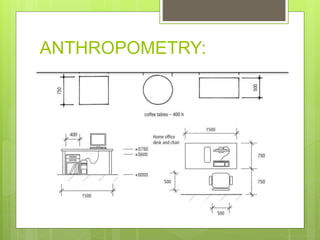 ANTHROPOMETRY:
 