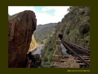 fotos .afasoft.net/div/ tua .html 