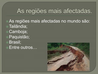 As regiões mais afectadas no mundo são:
Tailândia;
Camboja;
Paquistão;
Brasil;
Entre outros…
 