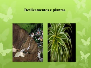 Deslizamentos e plantas
 