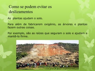 Como se podem evitar os
deslizamentos
As plantas ajudam o solo.
Para além de fabricarem oxigénio, as árvores e plantas
fazem outras coisas.
Por exemplo, são as raízes que seguram o solo e ajudam a
mantê-lo firme.
 