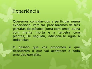 Experiência
Queremos convidar-vos a participar numa
experiência. Para tal, precisaremos de três
garrafas de plástico (uma com terra, outra
com manta morta e a terceira com
plantas).De seguida, adiciona-se água a
todas elas.
O desafio que vos propomos é que
descubram o que vai acontecer a cada
uma das garrafas.
 