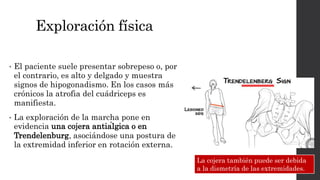 Exploración física
• El paciente suele presentar sobrepeso o, por
el contrario, es alto y delgado y muestra
signos de hipogonadismo. En los casos más
crónicos la atrofia del cuádriceps es
manifiesta.
• La exploración de la marcha pone en
evidencia una cojera antiálgica o en
Trendelenburg, asociándose una postura de
la extremidad inferior en rotación externa.
La cojera también puede ser debida
a la dismetría de las extremidades.
 