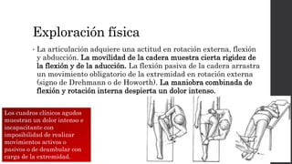 Exploración física
• La articulación adquiere una actitud en rotación externa, flexión
y abducción. La movilidad de la cadera muestra cierta rigidez de
la flexión y de la aducción. La flexión pasiva de la cadera arrastra
un movimiento obligatorio de la extremidad en rotación externa
(signo de Drehmann o de Howorth). La maniobra combinada de
flexión y rotación interna despierta un dolor intenso.
Los cuadros clínicos agudos
muestran un dolor intenso e
incapacitante con
imposibilidad de realizar
movimientos activos o
pasivos o de deambular con
carga de la extremidad.
 
