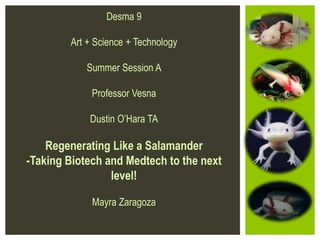 Desma 9
Art + Science + Technology
Summer Session A
Professor Vesna
Dustin O’Hara TA
Regenerating Like a Salamander
-Taking Biotech and Medtech to the next
level!
Mayra Zaragoza
 