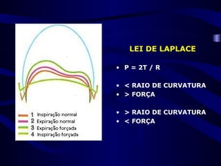 LEI DE LAPLACE

• P = 2T / R

• < RAIO DE CURVATURA
• > FORÇA

• > RAIO DE CURVATURA
• < FORÇA
 