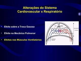 Alterações do Sistema
              Cardiovascular x Respiratório



• Efeito sobre a Troca Gasosa

• Efeito na Mecânica Pulmonar

• Efeitos nos Músculos Ventilatórios
 