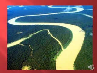 Desmatamento 0 Z E R O