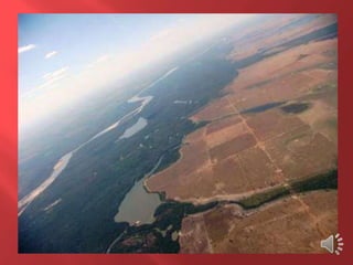 Desmatamento 0 Z E R O