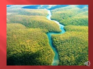 Desmatamento 0 Z E R O