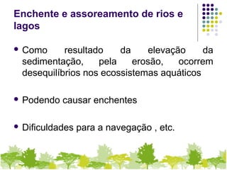 Enchente e assoreamento de rios e
lagos
 Como resultado da elevação da
sedimentação, pela erosão, ocorrem
desequilíbrios nos ecossistemas aquáticos
 Podendo causar enchentes
 Dificuldades para a navegação , etc.
 