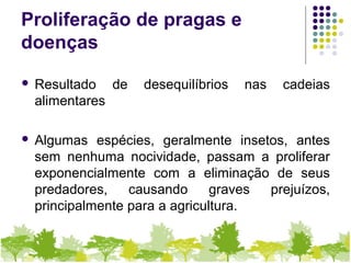 Proliferação de pragas e
doenças
 Resultado de desequilíbrios nas cadeias
alimentares
 Algumas espécies, geralmente insetos, antes
sem nenhuma nocividade, passam a proliferar
exponencialmente com a eliminação de seus
predadores, causando graves prejuízos,
principalmente para a agricultura.
 