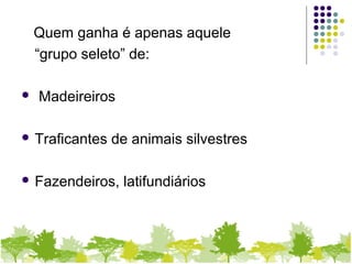 Quem ganha é apenas aquele
“grupo seleto” de:
 Madeireiros
 Traficantes de animais silvestres
 Fazendeiros, latifundiários
 