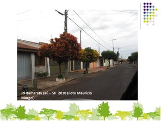 Jd Itamaraty Jaú – SP 2010 (Foto Mauricio
Murgel)
 