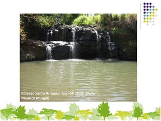 Córrego Santo Antonio- Jaú –SP 2010- (Foto
Maurico Murgel)
 