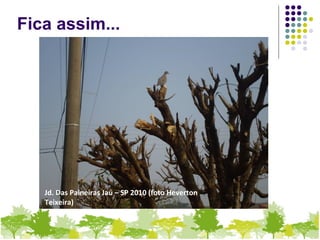 Fica assim...
Jd. Das Paineiras Jaú – SP 2010 (foto Heverton
Teixeira)
 