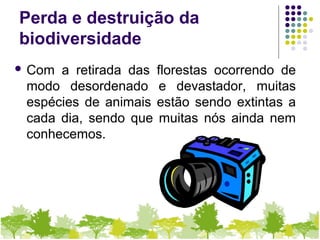 Perda e destruição da
biodiversidade
 Com a retirada das florestas ocorrendo de
modo desordenado e devastador, muitas
espécies de animais estão sendo extintas a
cada dia, sendo que muitas nós ainda nem
conhecemos.
 