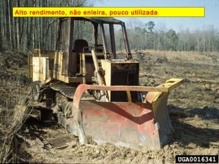 Alto rendimento, não enleira, pouco utilizada 
 