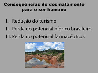 Consequências do desmatamento
para o ser humano
I. Redução do turismo
II. Perda do potencial hídrico brasileiro
III.Perda do potencial farmacêutico:
 