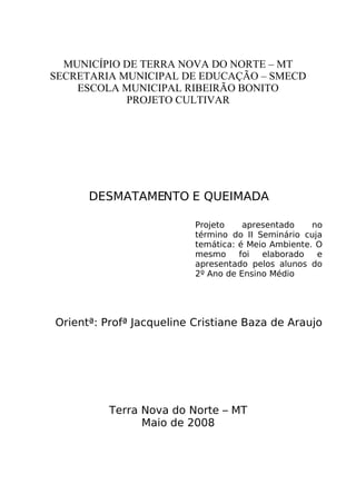 Desmatamento E Queimada