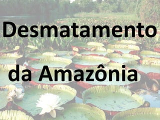 Desmatamento da Amazônia 