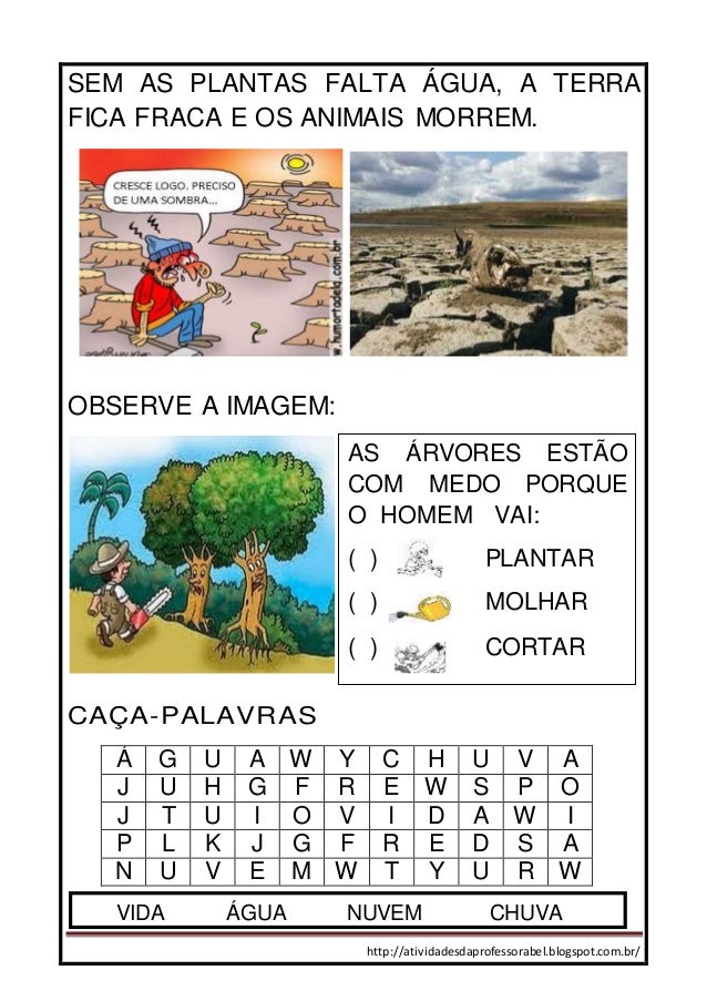 Atividades sobre desmatamento_ciência