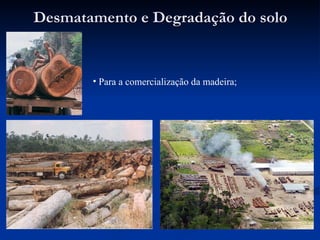 Desmatamento e Degradação do solo Para a comercialização da madeira; 