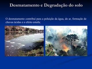 Desmatamento e Degradação do solo O desmatamento contribui para a poluição da água, do ar, formação de chuvas ácidas e o efeito estufa; 