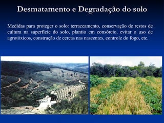 Desmatamento e Degradação do solo Medidas para proteger o solo: terraceamento, conservação de restos de cultura na superfície do solo, plantio em consórcio, evitar o uso de agrotóxicos, construção de cercas nas nascentes, controle do fogo, etc. 