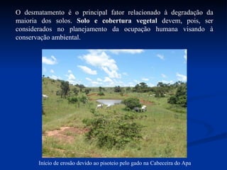 O desmatamento é o principal fator relacionado à degradação da maioria dos solos.  Solo e cobertura vegetal  devem, pois, ser considerados no planejamento da ocupação humana visando à conservação ambiental. Início de erosão devido ao pisoteio pelo gado na Cabeceira do Apa 
