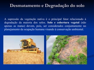 Desmatamento e Degradação do solo A supressão da vegetação nativa é o principal fator relacionado à degradação da maioria dos solos.  Solo e cobertura vegetal  (não apenas as matas) devem, pois, ser considerados conjuntamente no planejamento da ocupação humana visando à conservação ambiental. 