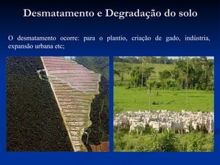 Desmatamento e Degradação do solo O desmatamento ocorre: para o plantio, criação de gado, indústria, expansão urbana etc; 