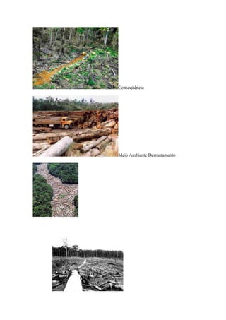 Desmatamento(delzimara)