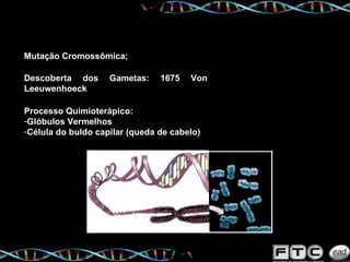 Mutação Cromossômica; Descoberta dos Gametas: 1675 Von Leeuwenhoeck   Processo Quimioterápico: Glóbulos Vermelhos Célula do buldo capilar (queda de cabelo) 