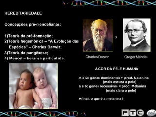 HEREDITARIEDADE Concepções pré-mendelianas: 1)Teoria da pré-formação; 2)Teoria hegemônica – “A Evolução das Espécies” – Charles Darwin; 3)Teoria da pangênese; 4) Mendel – herança particulada . X Charles Darwin Gregor Mendel A COR DA PELE HUMANA A e B: genes dominantes > prod. Melanina (mais escura a pele) a e b: genes recessivos < prod. Melanina (mais clara a pele) Afinal, o que é a melanina? 
