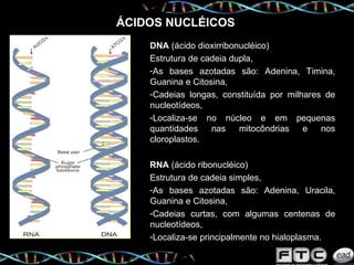 DNA  (ácido dioxirribonucléico) Estrutura de cadeia dupla, As bases azotadas são: Adenina, Timina, Guanina e Citosina, Cadeias longas, constituída por milhares de nucleotídeos, Localiza-se no núcleo e em pequenas quantidades nas mitocôndrias e nos cloroplastos. RNA  (ácido ribonucléico) Estrutura de cadeia simples, As bases azotadas são: Adenina, Uracila, Guanina e Citosina, Cadeias curtas, com algumas centenas de nucleotídeos, Localiza-se principalmente no hialoplasma. ÁCIDOS NUCLÉICOS 