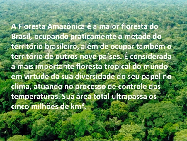 Resultado de imagem para fotos desmatamento da floresta amazonica