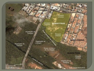 Visita técnica da ARIE (2013); 
 