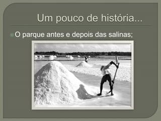 O parque antes e depois das salinas; 
 