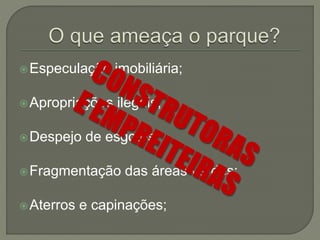 Especulação imobiliária; 
Apropriações ilegais; 
Despejo de esgotos; 
Fragmentação das áreas verdes; 
Aterros e capinações; 
 