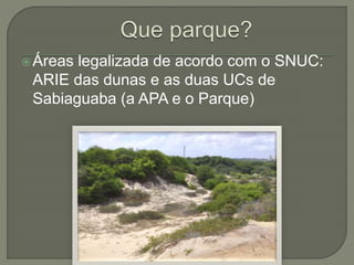 Áreas legalizada de acordo com o SNUC: 
ARIE das dunas e as duas UCs de 
Sabiaguaba (a APA e o Parque) 
 