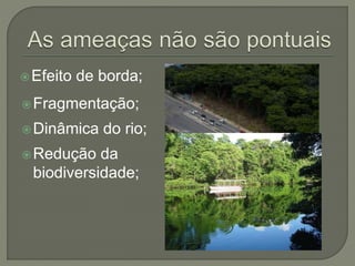 Efeito de borda; 
Fragmentação; 
Dinâmica do rio; 
Redução da 
biodiversidade; 
 