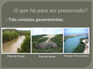 Três unidades geoambientais; 
Planície Fluvial Área de dunas Planície Fúlvio-marinha 
 