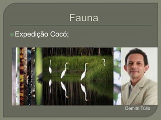 Expedição Cocó; 
Demitri Túlio 
 