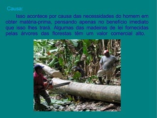 Causa:  Isso acontece por causa das necessidades do homem em obter matéria-prima, pensando apenas no benefício imediato que isso lhes trará. Algumas das madeiras de lei fornecidas pelas árvores das florestas têm um valor comercial alto.    