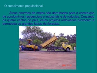 O crescimento populacional : Áreas enormes de matas são derrubadas para a construção de condomínios residenciais e industriais e de rodovias. Cruzando os quatro cantos do país, estes projetos rodoviários provocam a derrubada de grandes faixas de florestas.  