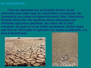 As conseqüências  :   Pode ser deplorável que as florestas tenham de ser destruídas para ceder lugar ao crescimento e à expansão, tão necessários aos países em desenvolvimento. Mas, infelizmente, florestas destruídas não significam terras adequadas para atividades agrícolas e pecuárias. Se a terra não for bem manejada, ela pode se tornar infértil rapidamente. Muitas vezes, pela falta de informação do agricultor isso acaba acontecendo, e a terra é abandonada. 